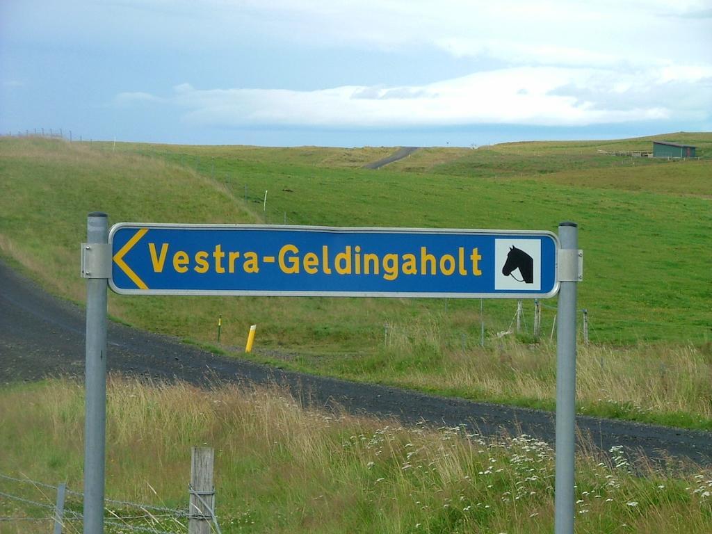 Guesthouse Geldingaholt Árnes エクステリア 写真